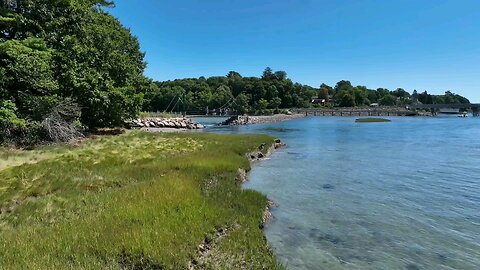 A place where the sea and the forest meet😍😍