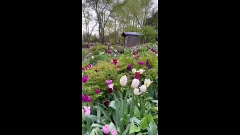 Lost paradise: where earth and sky meet with colorful flowers😍🌺🌿😍