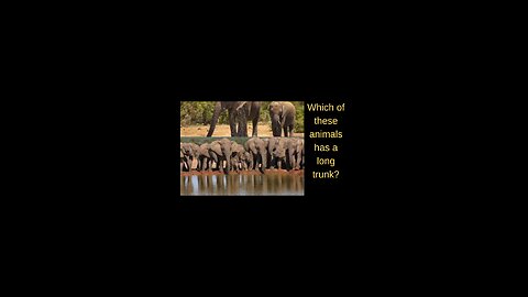 science quiz for children
