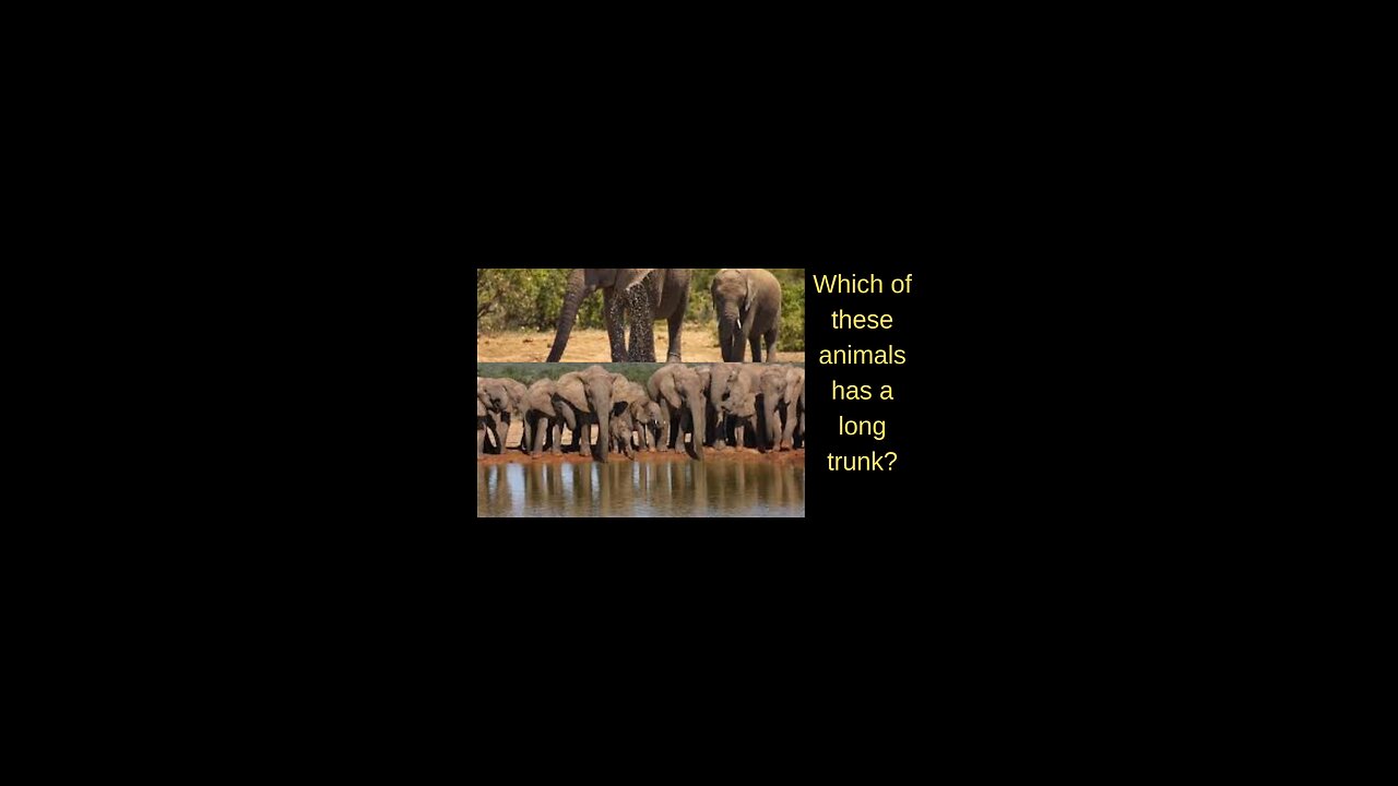 science quiz for children