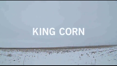 King Corn