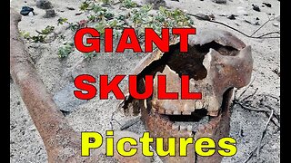 Ancient Giant Skull Found - Full Story With Pictures - check out the teeth