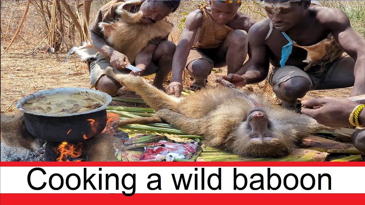 Cooking a wild baboon
