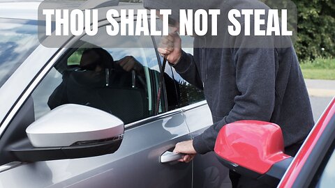 THOU SHALT NOT STEAL