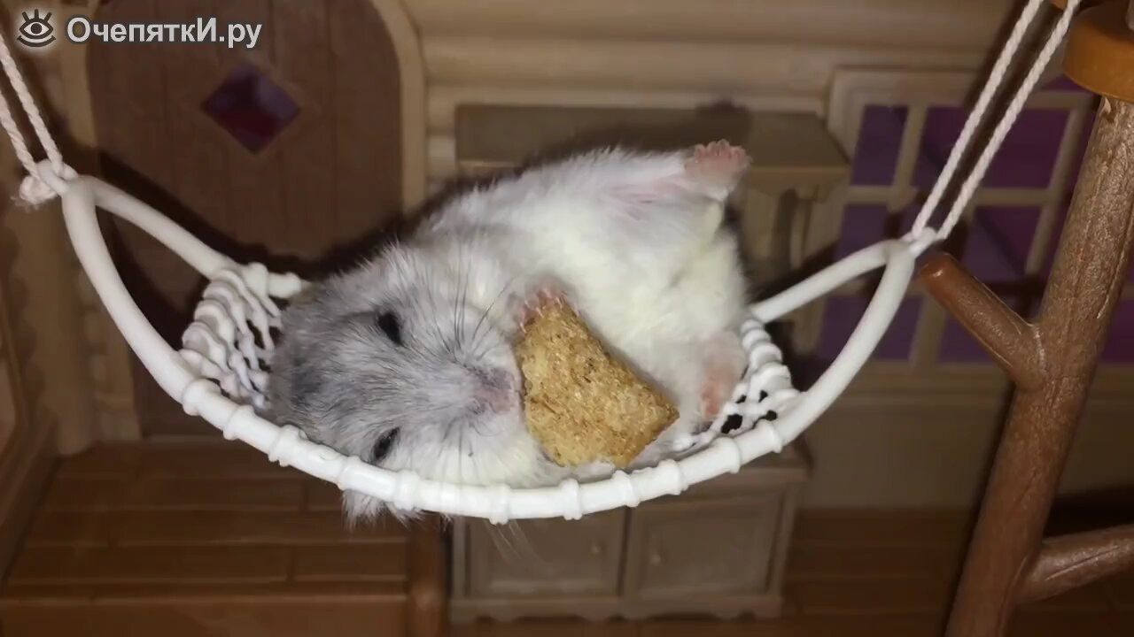 awwww 🤗