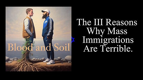 The III Reasons Why Mass Immigrations Are Terrible - David Titus