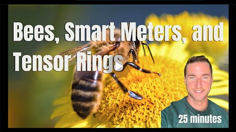 ⚡️⚡️⚡️ Пчелы, Умные счетчики, Кровь дракона и Тензорные кольца. Мэтт Рёске