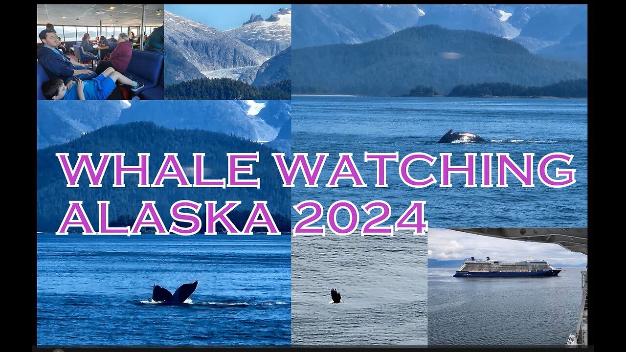Alaska - Whale Watching
