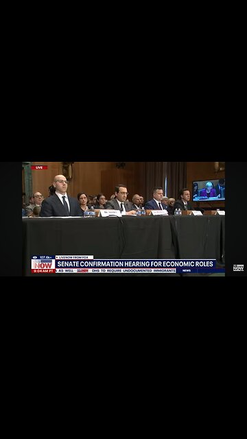 BREAKING NEWS🚨 “Elon Musk and his little band of hackers.” Elizabeth Warren is a joke.