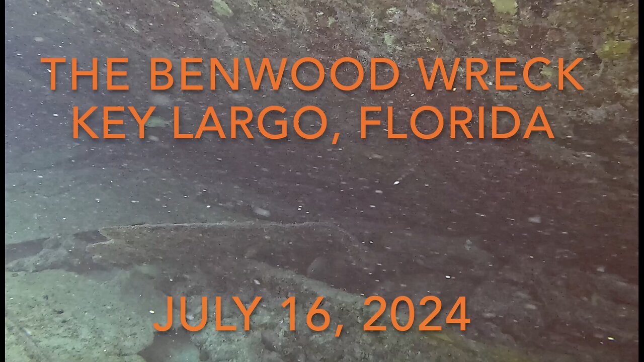 SCUBA Diving The Benwood Wreck at Key Largo, Florida