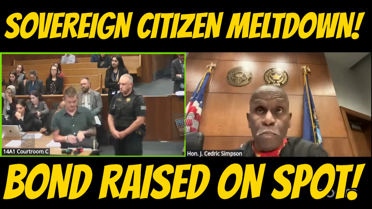 Sovereign Citizen Meltdown in Court!