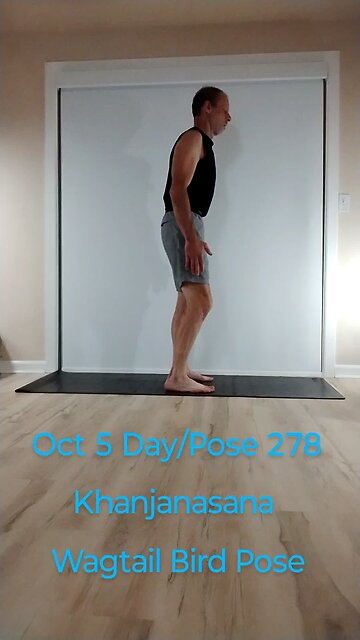 Khanjanasana / Wagtail Bird Pose