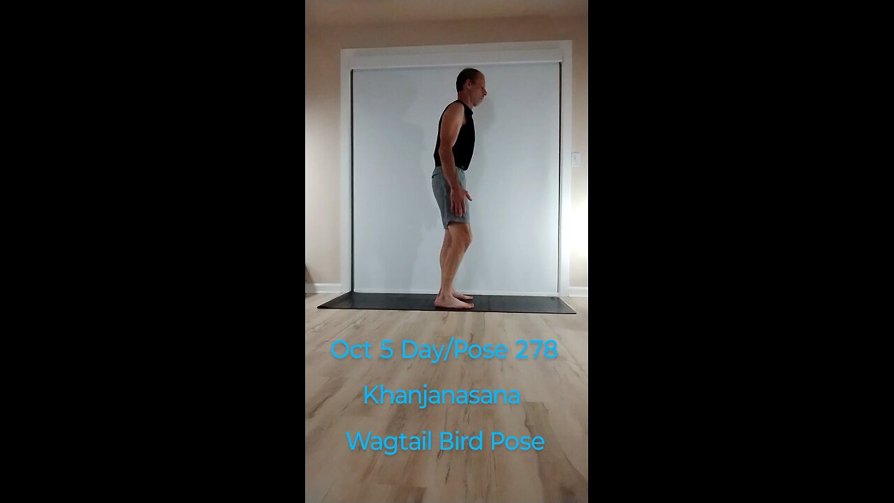 Khanjanasana / Wagtail Bird Pose