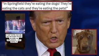 They're Eating the Dogs 🙀 They're Eating the Cats ❗