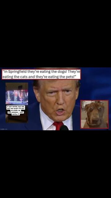 They're Eating the Dogs 🙀 They're Eating the Cats ❗