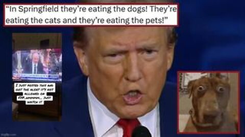 They're Eating the Dogs 🙀 They're Eating the Cats ❗