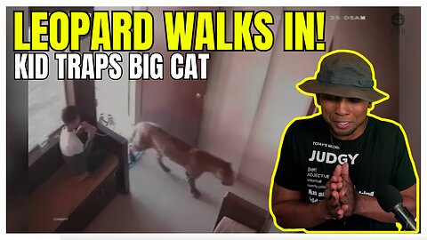 Boy Calmly Exits as LEOPARD Enters Building