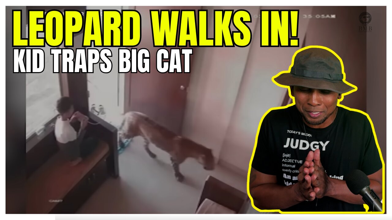 Boy Calmly Exits as LEOPARD Enters Building