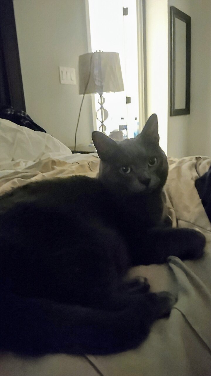 Yoda