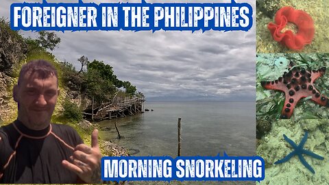 Morning Snorkeling Adventure 🌊 | Foreigner in the Philippines | Exploring the Underwater World 🇵🇭