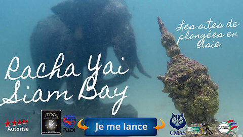 🐠 Siam Bay, Racha Yai, Plongée Mystique entre Coraux et Légendes