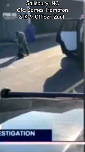 Salisbury NC Officer James Hampton was caught on video abusing his K-9 Will not face any charges