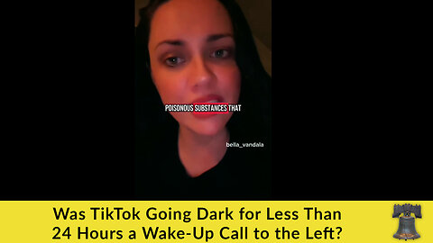 Was TikTok Going Dark for Less Than 24 Hours a Wake-Up Call to the Left?