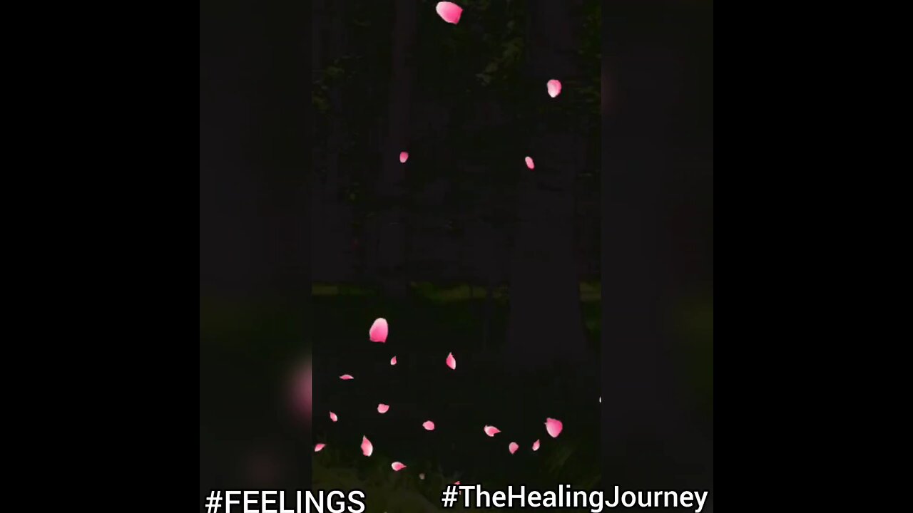 FEELINGS The Healing Journey