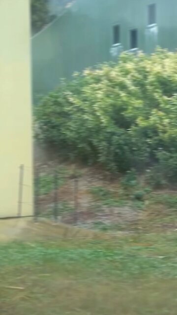 I wanna Pee Guys....