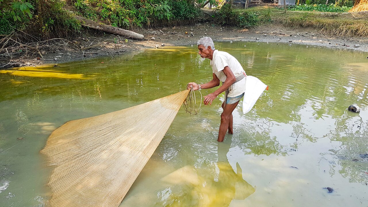 Catching local fish from the canal