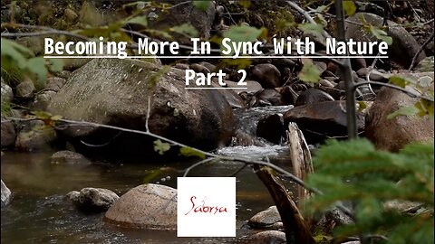 Becoming More In Sync With Nature. Part 2