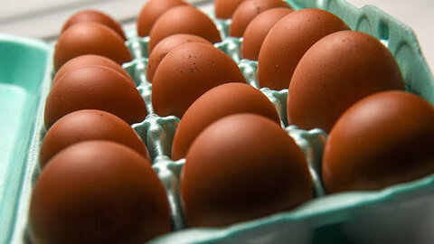 costco eggs recalled