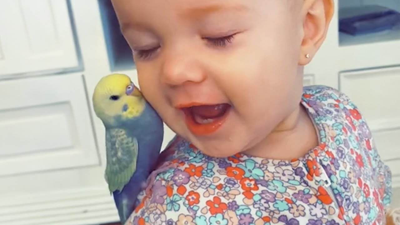 Little Friends and Animals Share a Beautiful Moment ❤️