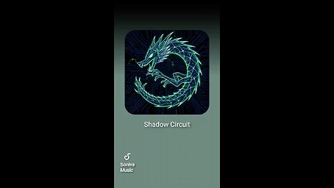 Shadow Circuit