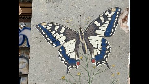 Mariposa libre