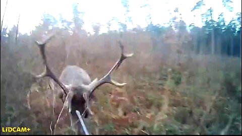 IN TIMES OF WEAKNESS - DAILY DEVOTIONAL ❤️