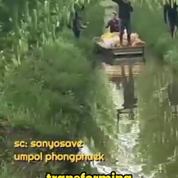 Thailand’s Surprising Secret: Farming on Water!