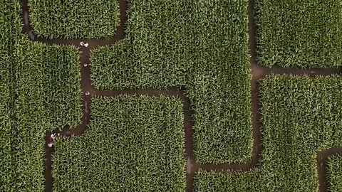 Daily Horoscope | Libra 🌟