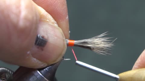 Haystack: a Fran Betters dry fly pattern