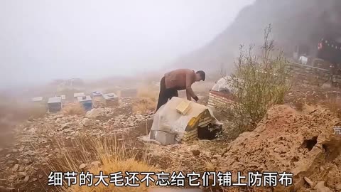 Forest Edge Camp | Nomad Fire And Night Remix