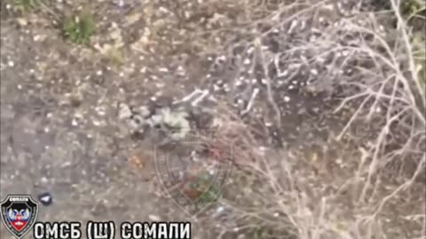 Ukraine war combat footage 10/7/25