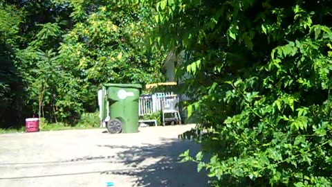 talking to lady in the hood in atlanta, enjoy the shea show