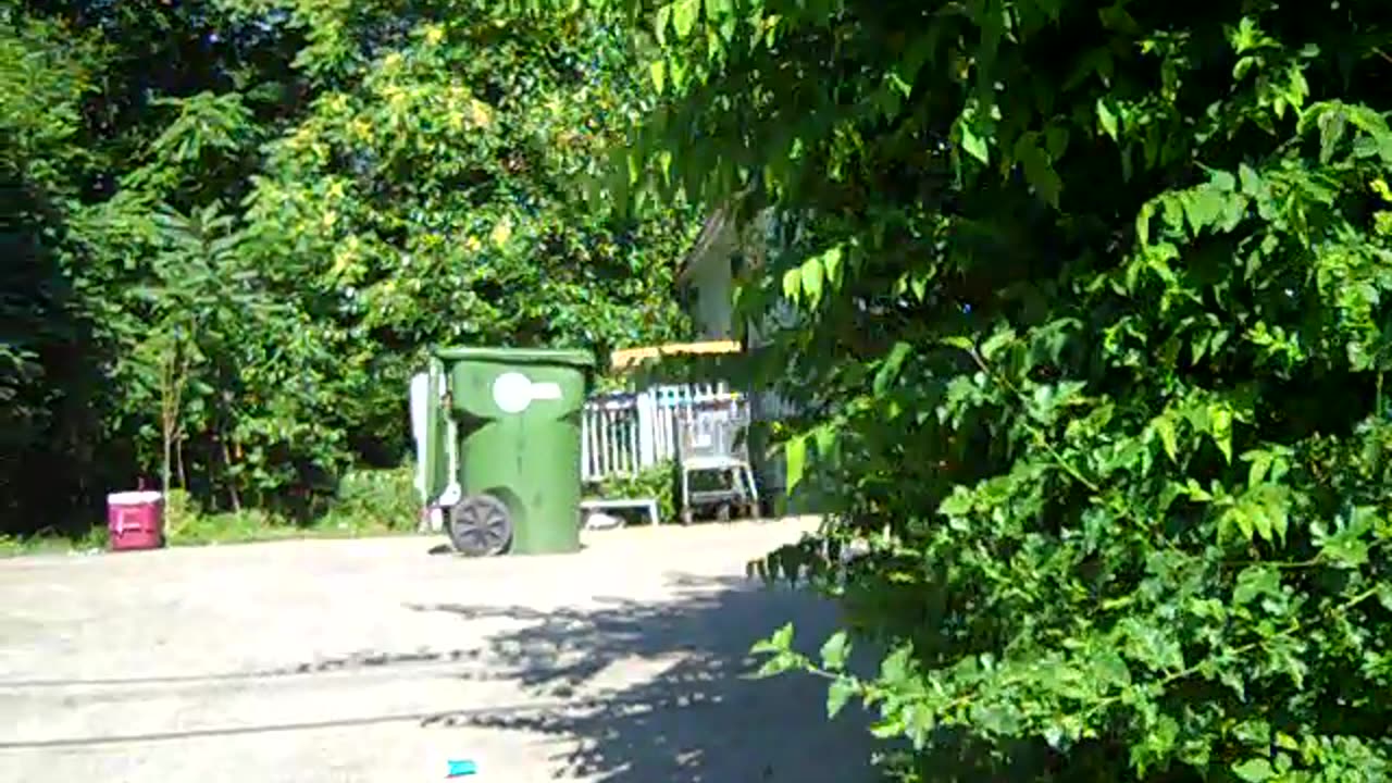 talking to lady in the hood in atlanta, enjoy the shea show