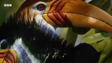 Forest: Life Bereath The Canopy