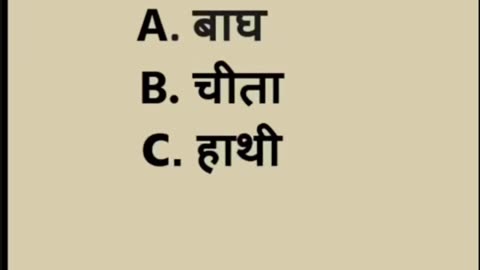 General Knowledge quiz