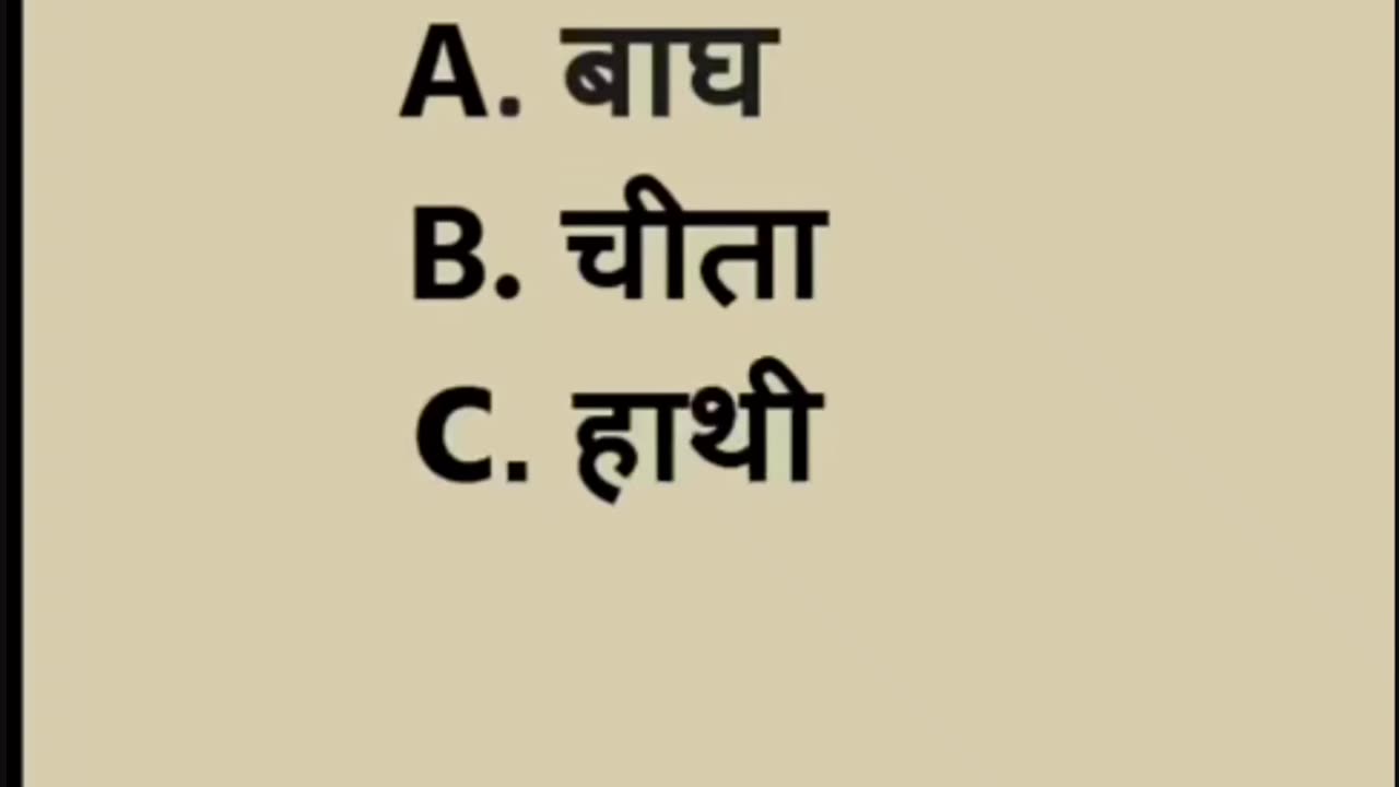 General Knowledge quiz
