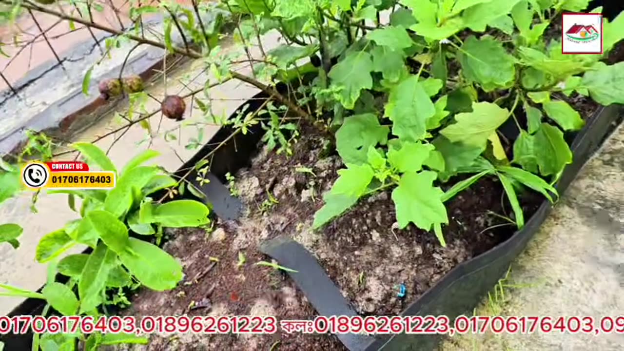 পলিথিন দেওয়া জিও ব্যাগ ভালো নাকি পলিথিন ছাড়া জিও ব্যাগ? | Geo Bag in Bangladesh