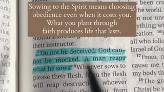 You Reap What You Sow Galatians 6:7