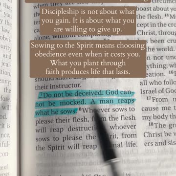 You Reap What You Sow Galatians 6:7