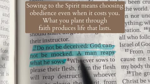 You Reap What You Sow Galatians 6:7